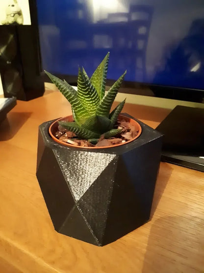 Pot de Plante Low Poly