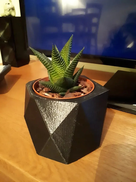 Pot de Plante Low Poly