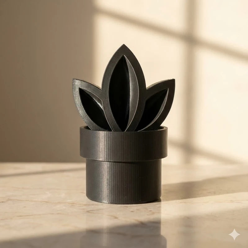 Vase, pot décoratif – Succulente stylisée géométrique noire