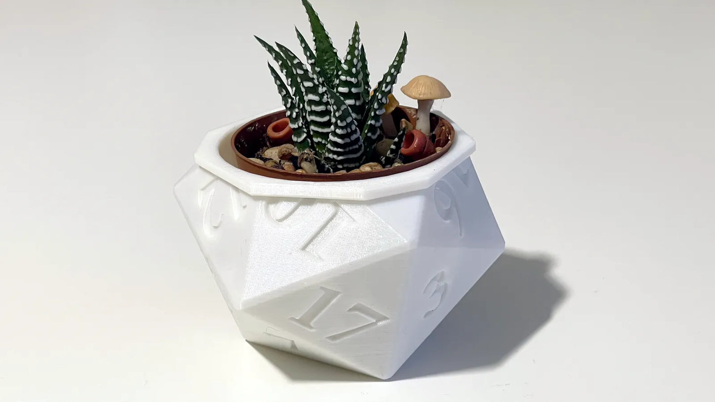 Pot de plante d20