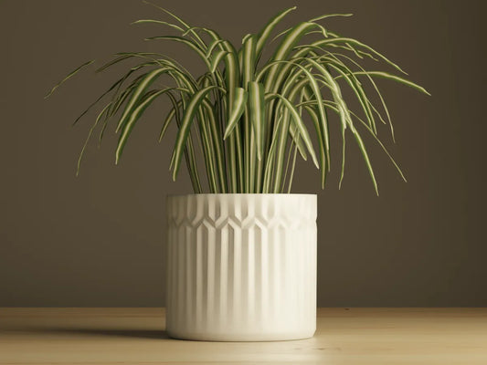 Pot de Plante #3