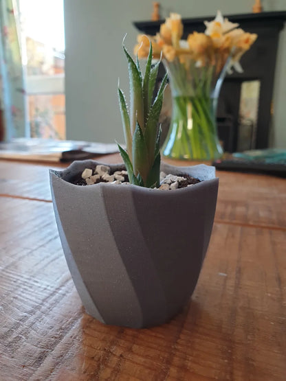 Petit Pot de Plante