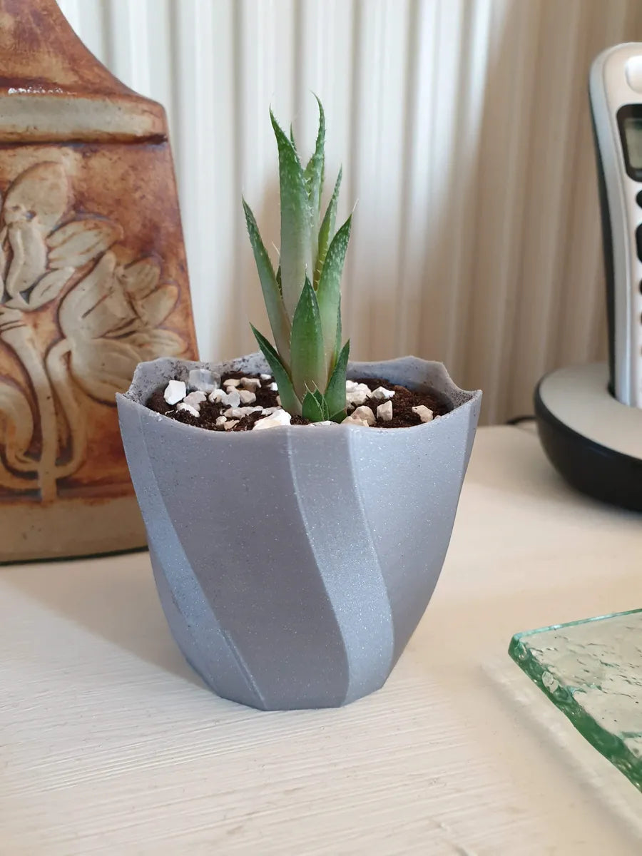 Petit Pot de Plante