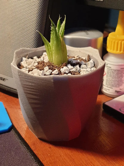 Petit Pot de Plante