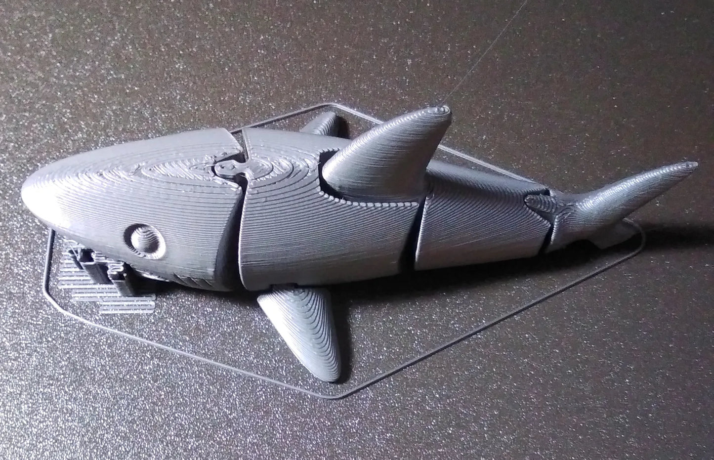 Requin articulé