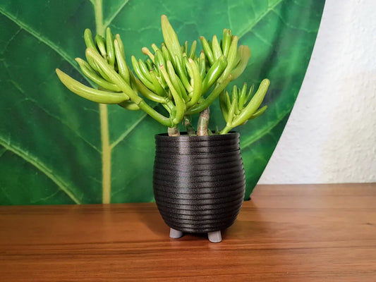 Pot de Plante à Petits Pattes