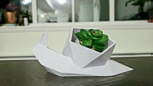 pot de plante succulente