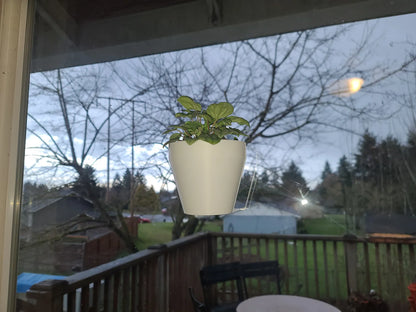Pot de plante suspendu pour fenêtre ou mur