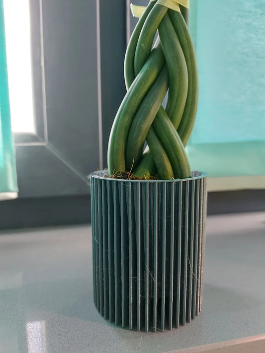 Encore un pot de plante moderne