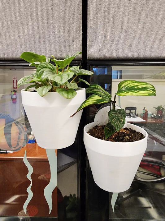 Pot de plante suspendu pour fenêtre ou mur