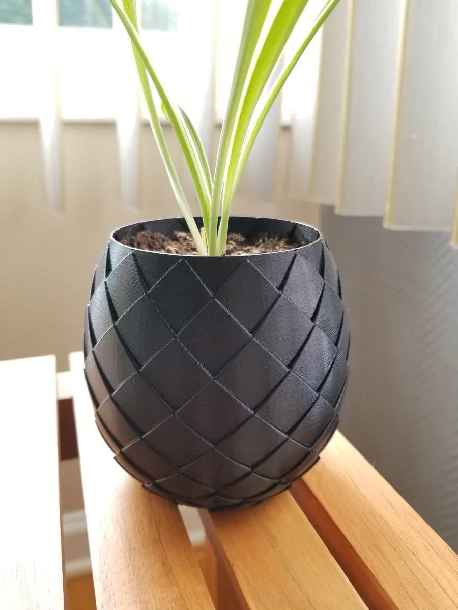 Pot de plante œuf de dragon