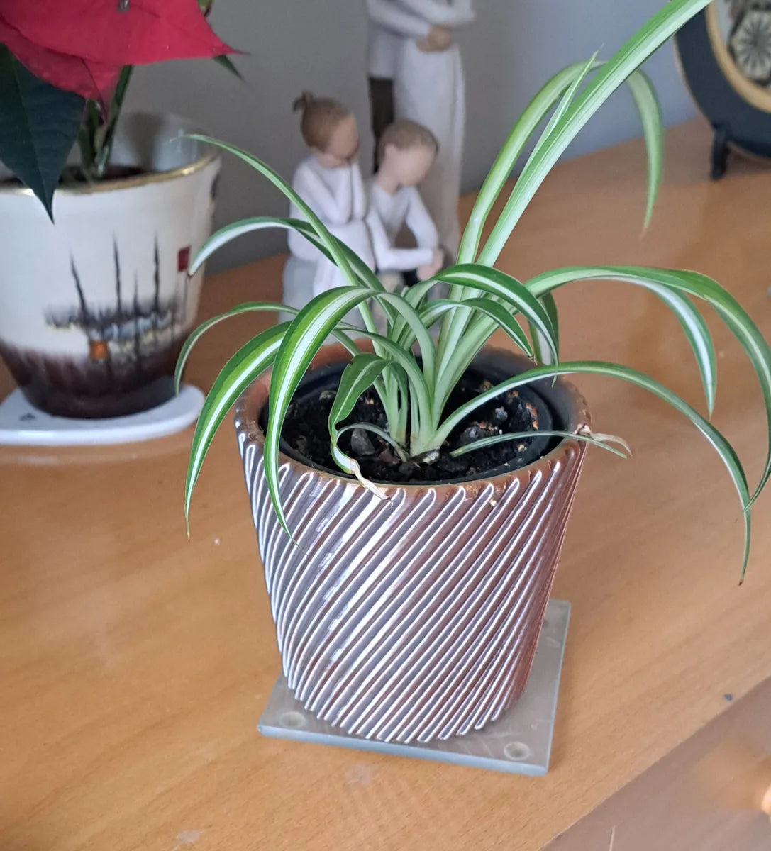 Pot de Plante Décoratif