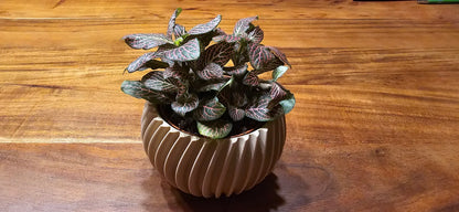 Pot de fleurs Wave - Pot de plante design élégant pour votre intérieur