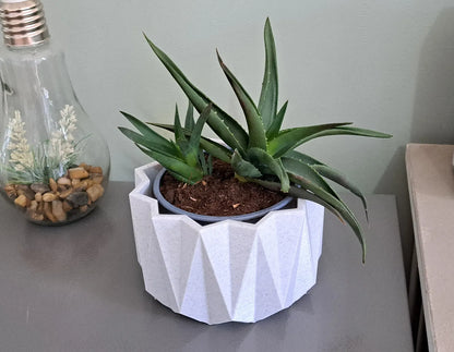 Pot de Plante Décoratif
