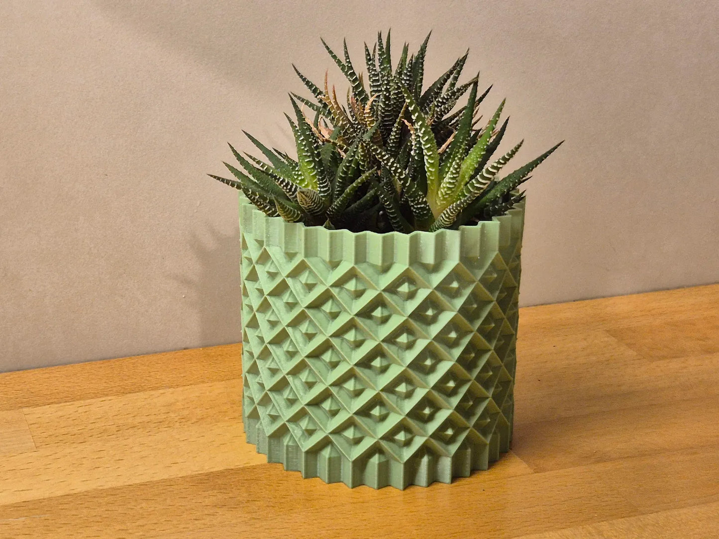 Pot de plante #1