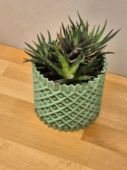 Pot de plante #1