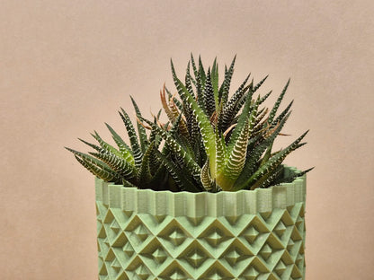 Pot de plante #1