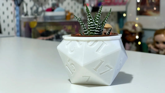 Pot de plante d20