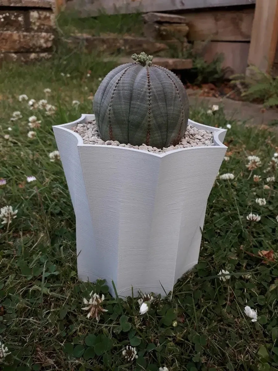 Octopot - Pot de Plante Octogonal pour un Style Unique et Moderne