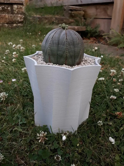 Octopot - Pot de Plante Octogonal pour un Style Unique et Moderne