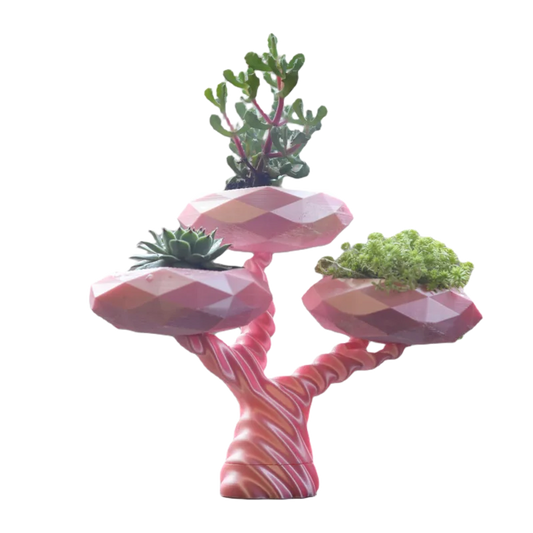 Jardinière Bonsai  - PolyPrestige3D