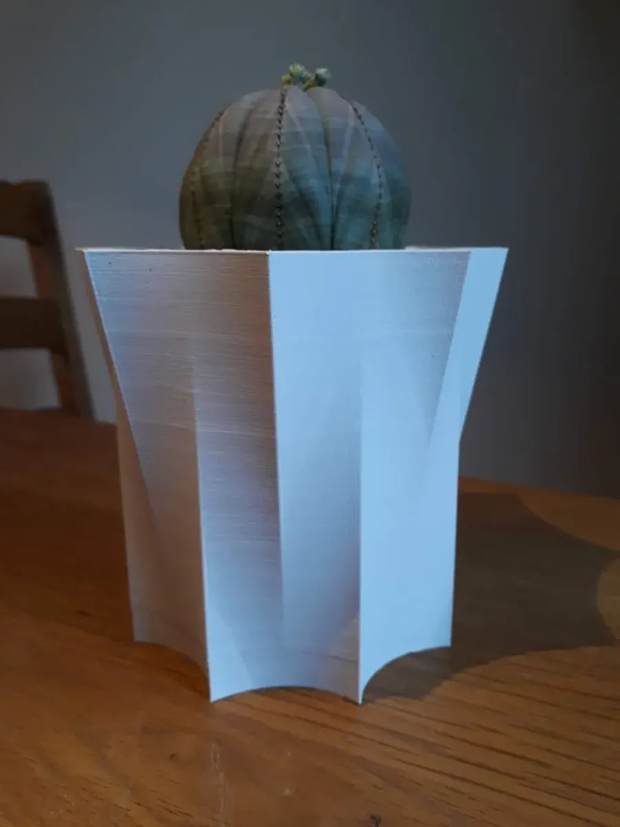 Octopot - Pot de Plante Octogonal pour un Style Unique et Moderne