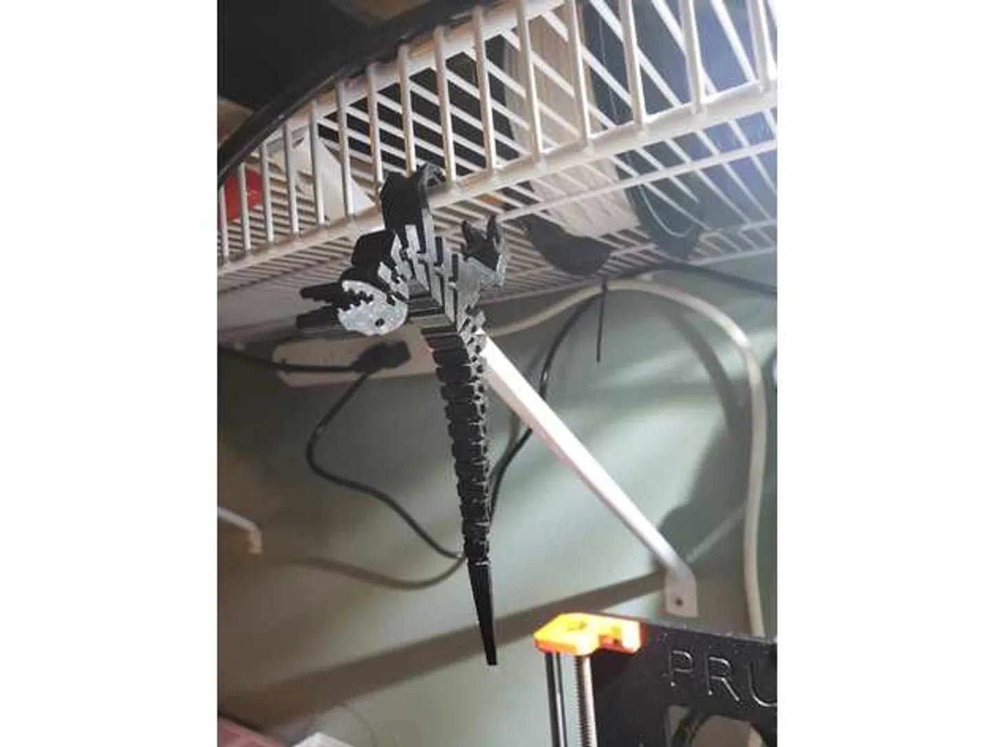 Raptor Flexi
