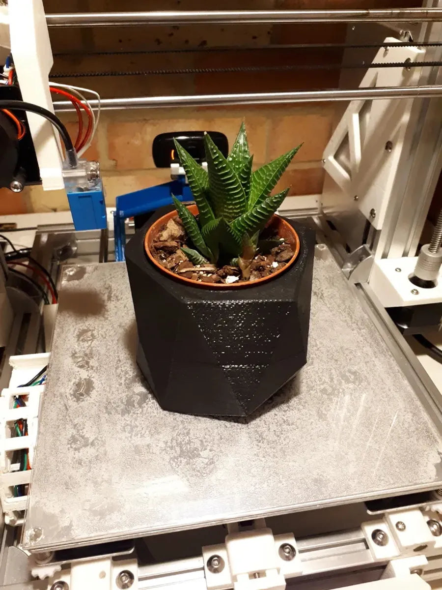 Pot de Plante Low Poly