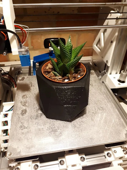Pot de Plante Low Poly
