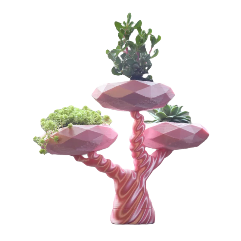 Jardinière Bonsai  - PolyPrestige3D