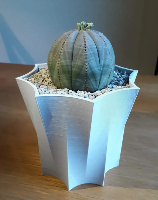 Octopot - Pot de Plante Octogonal pour un Style Unique et Moderne