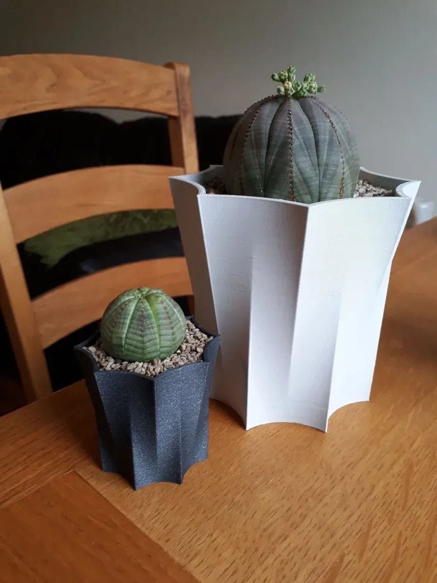 Octopot - Pot de Plante Octogonal pour un Style Unique et Moderne