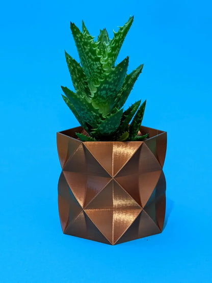 Pot de Plante Succulente / Jardinière "Arnold"