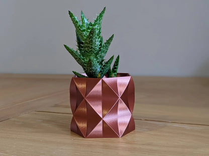 Pot de Plante Succulente / Jardinière "Arnold"