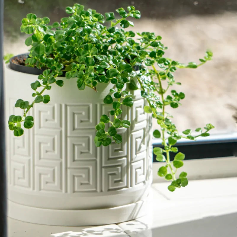 Aztec Pattern Debossed Planter Pot with Drainage Holes Drip Tray