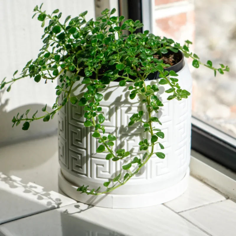 Aztec Pattern Debossed Planter Pot with Drainage Holes Drip Tray