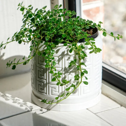 Aztec Pattern Debossed Planter Pot with Drainage Holes Drip Tray