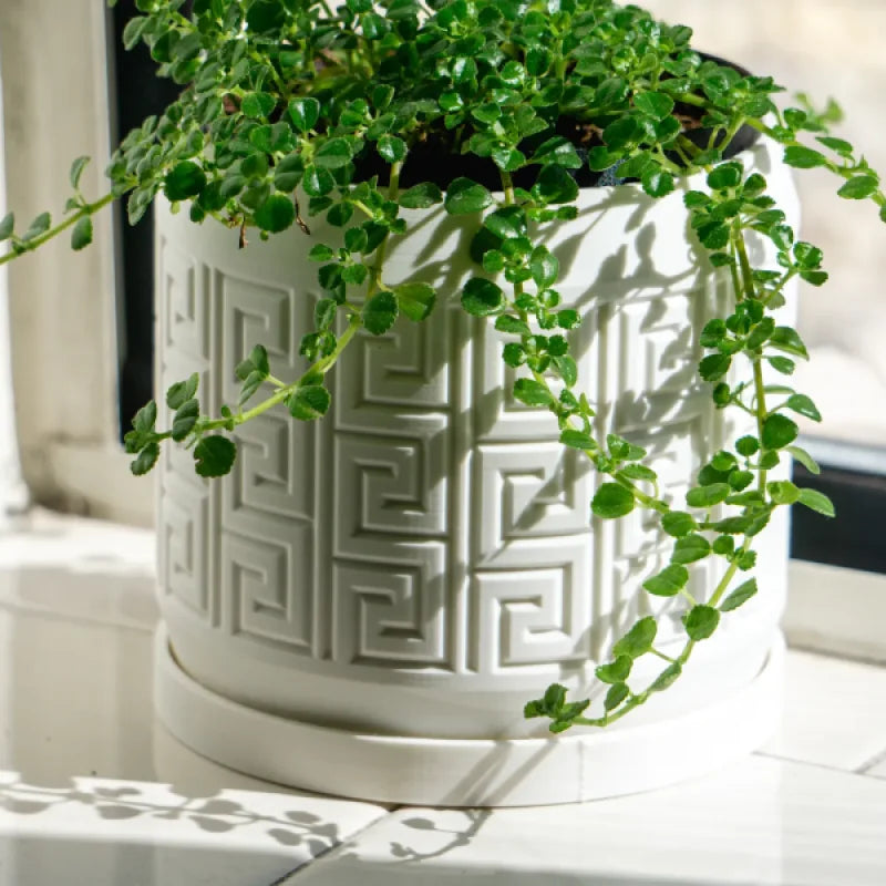 Aztec Pattern Debossed Planter Pot with Drainage Holes Drip Tray