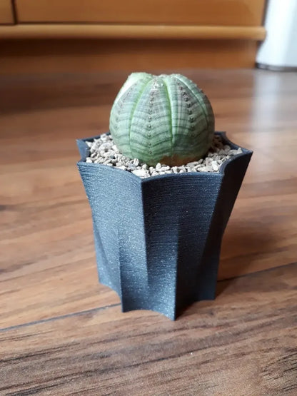 Octopot - Pot de Plante Octogonal pour un Style Unique et Moderne