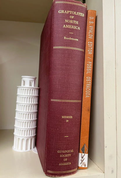 Serre-livres Tour de Pise