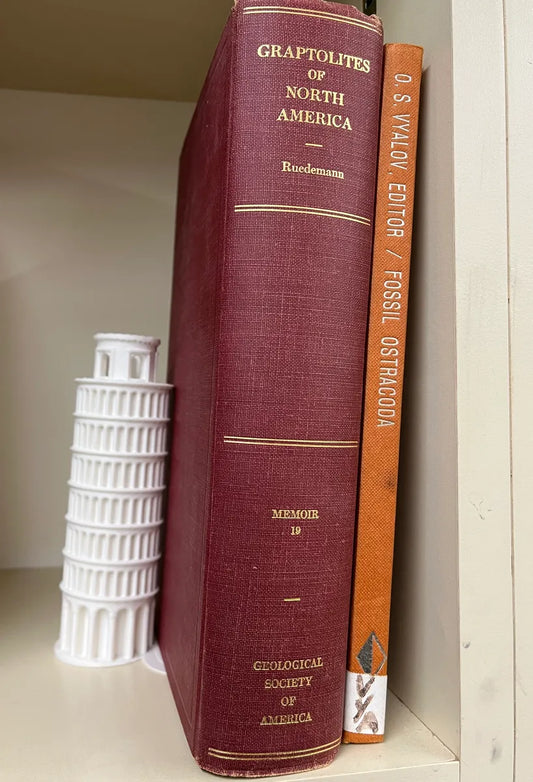 Serre-livres Tour de Pise