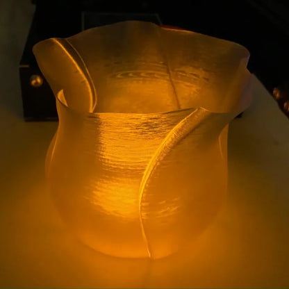 Container Version of Vase Rose