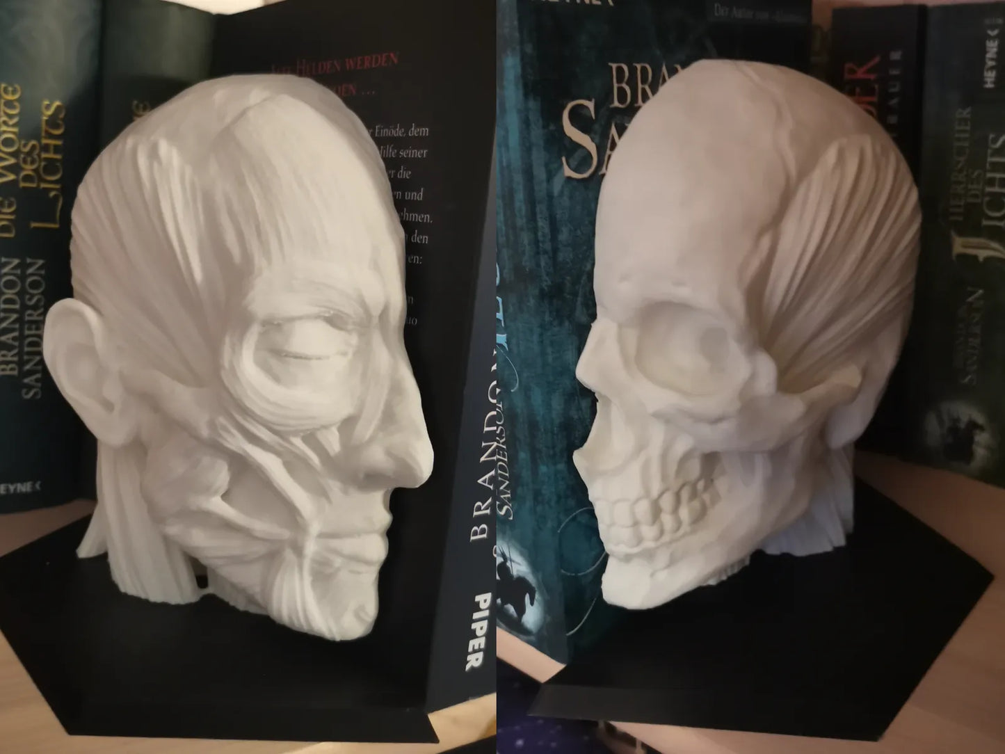 Serre-livres Ecorche