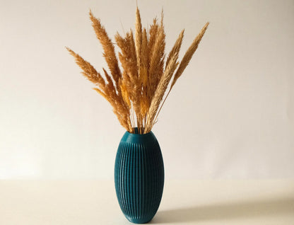 Vase en Cactus