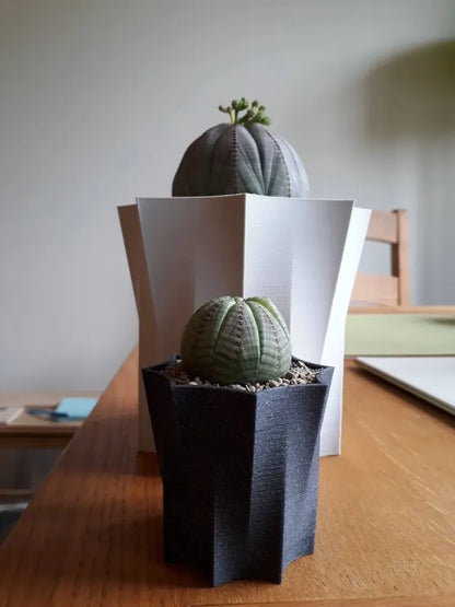 Octopot - Pot de Plante Octogonal pour un Style Unique et Moderne