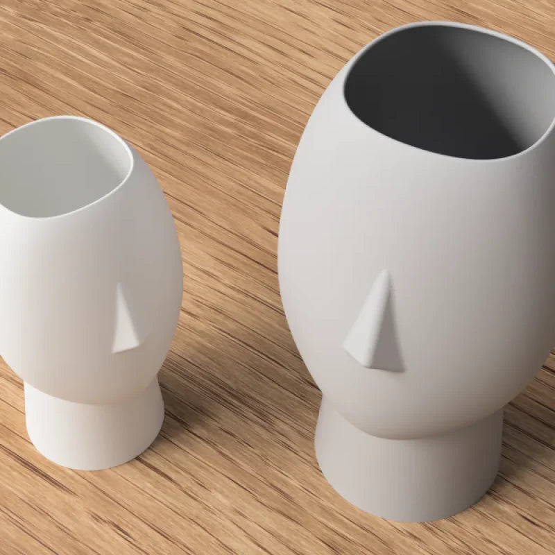 Face Vase