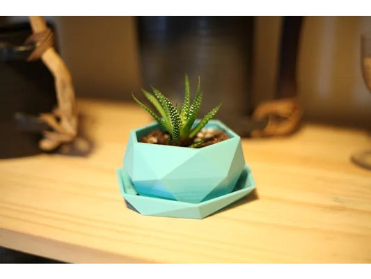pot de plante mini low poly