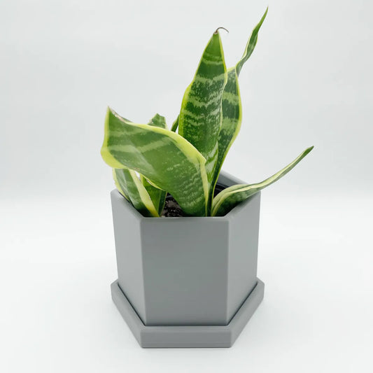 Pot de Plante Hexagonal