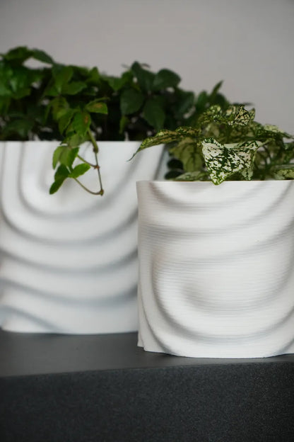 Pot de Plante Fondant