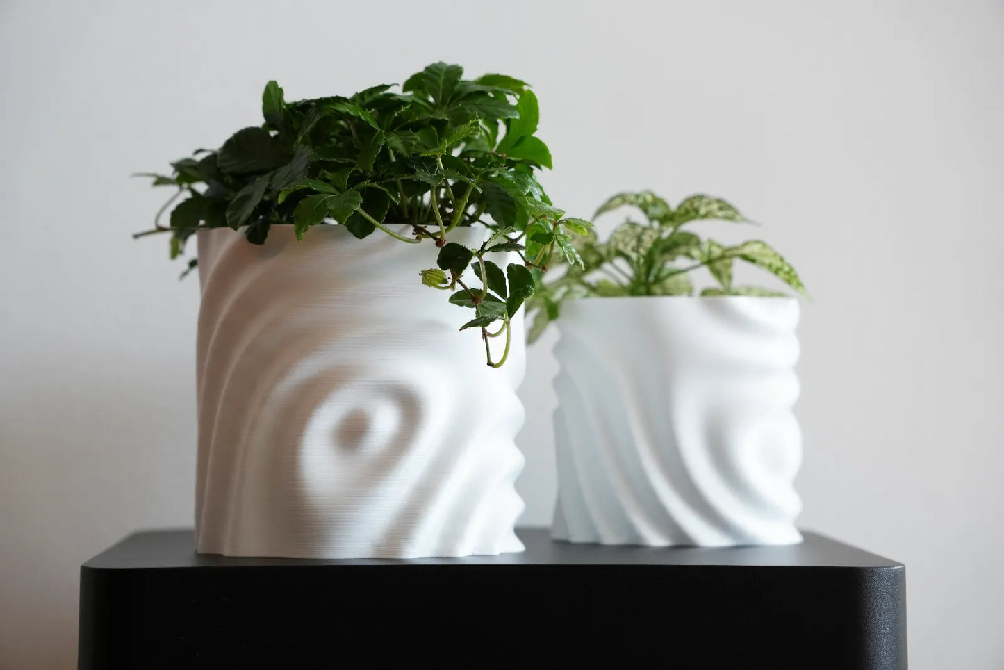 Pot de Plante Fondant